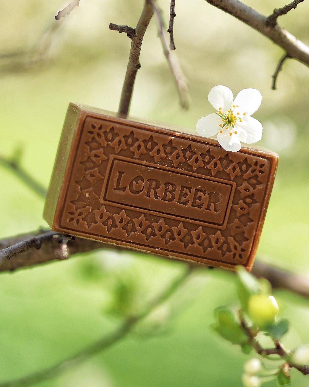 LORBEER Damascus Jasmin Olivenölseife